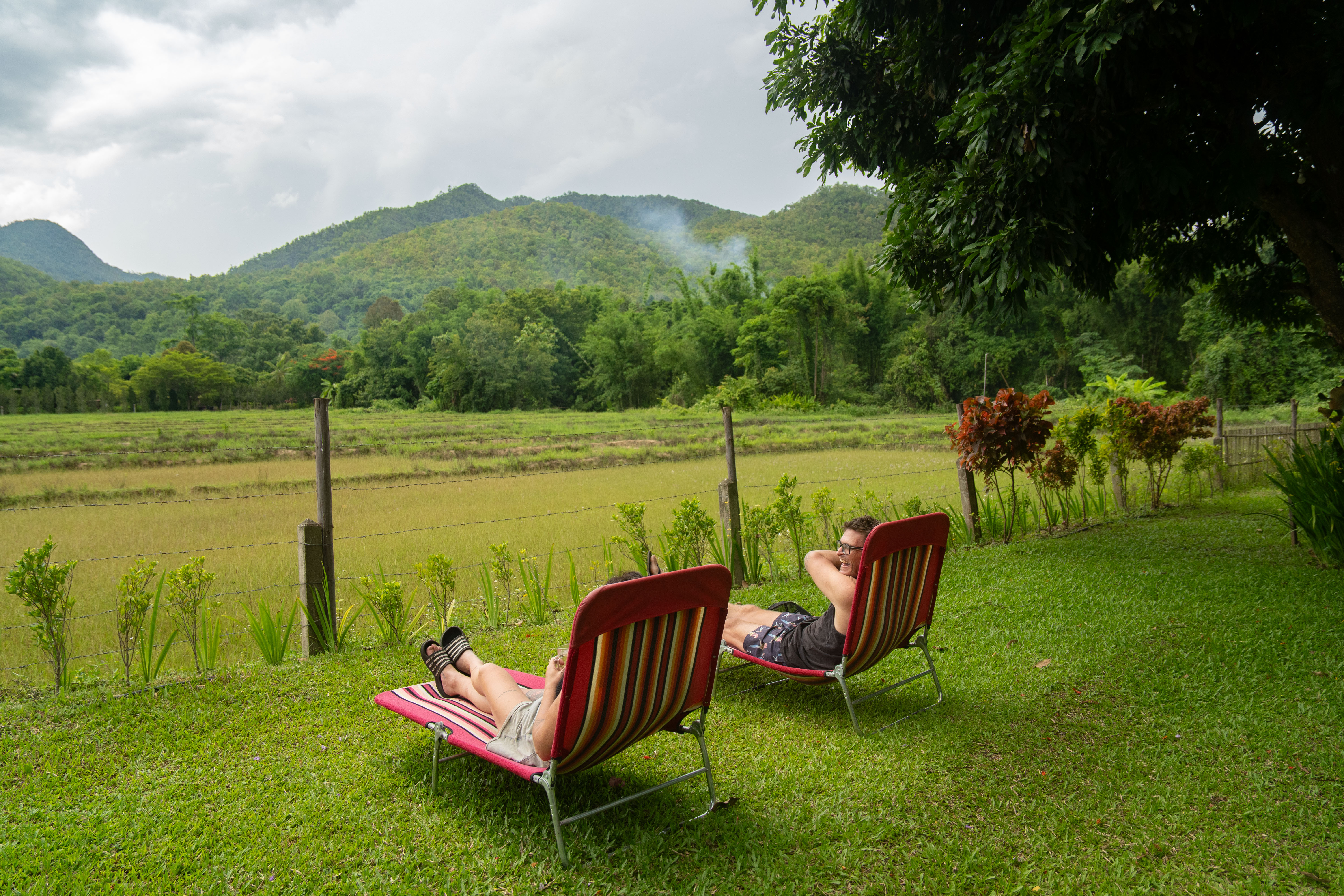 Butterfly Hostel grounds