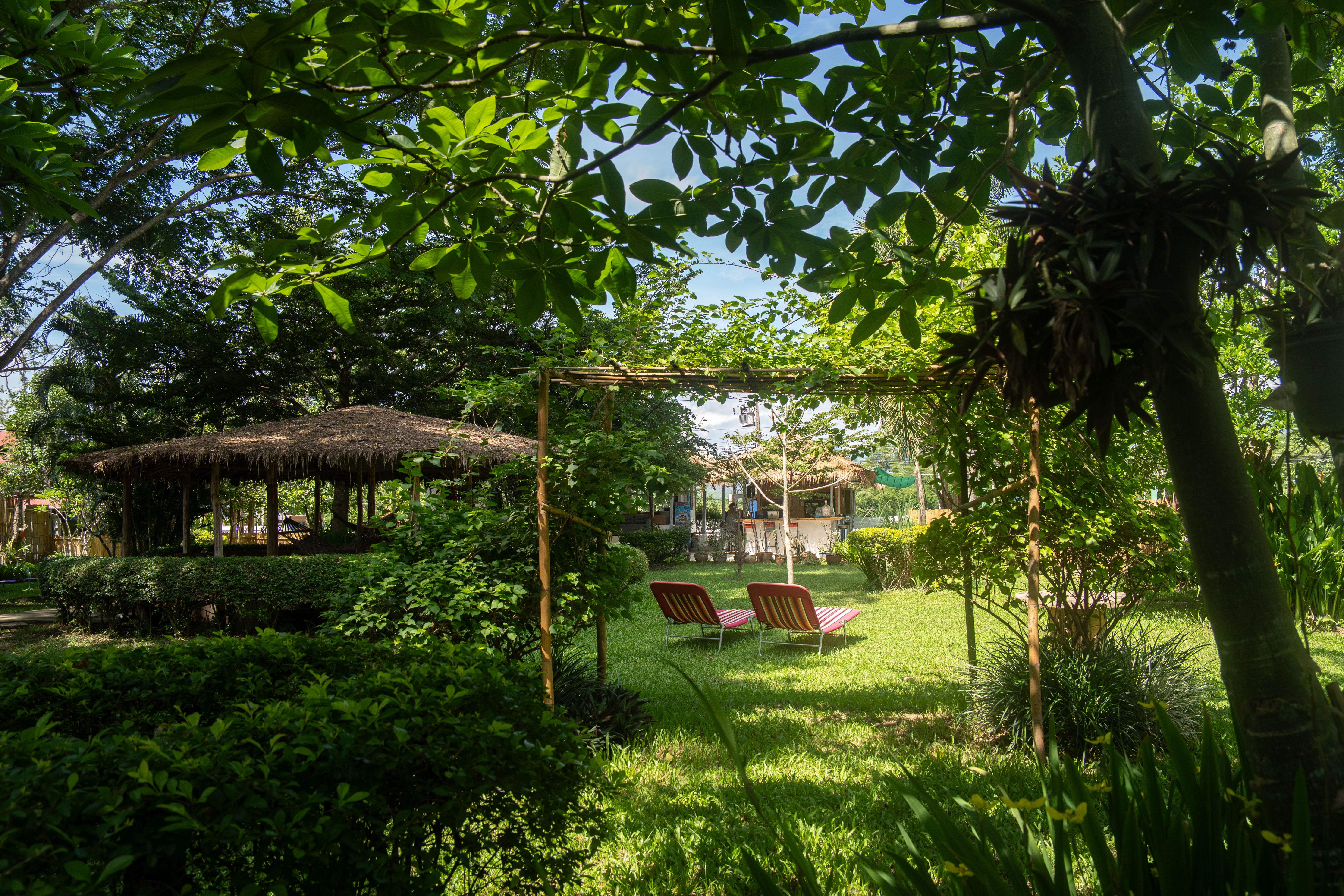 Butterfly Hostel